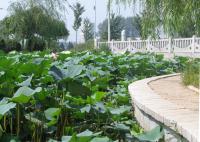 Albums/20060800-China Aug 2006/20060804-Shenyang University/58